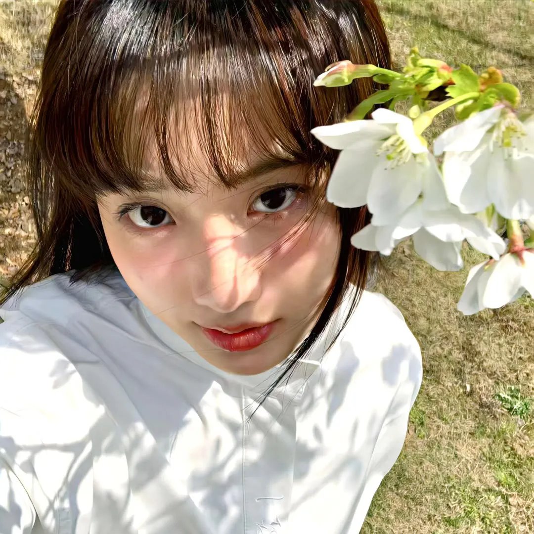 琼楼春梦